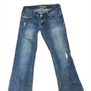 American Eagle Outfitters Jeans Sz 6 Regular